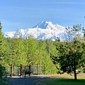 Denali